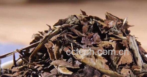 寿眉白茶怎么泡 寿眉白茶的正确泡法-0