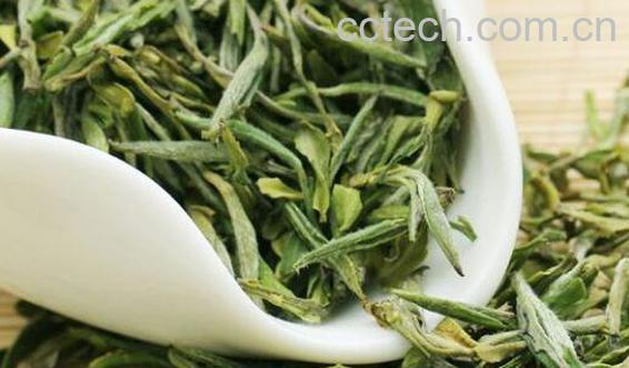 霍山黄芽如何冲泡 霍山黄芽怎么泡好喝-1