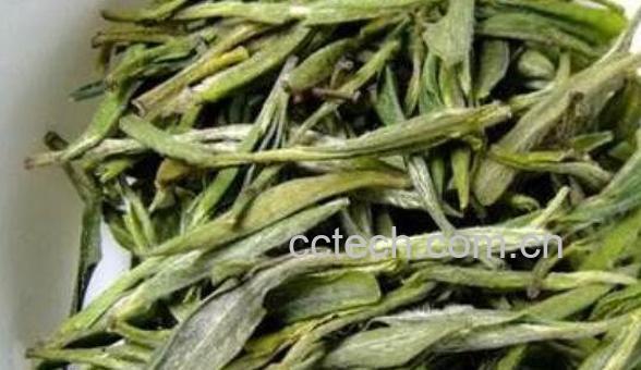 霍山黄芽如何冲泡 霍山黄芽怎么泡好喝-0