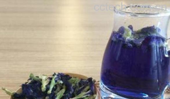 蓝蝴蝶花茶的泡法 蓝蝴蝶花茶的搭配方法-1