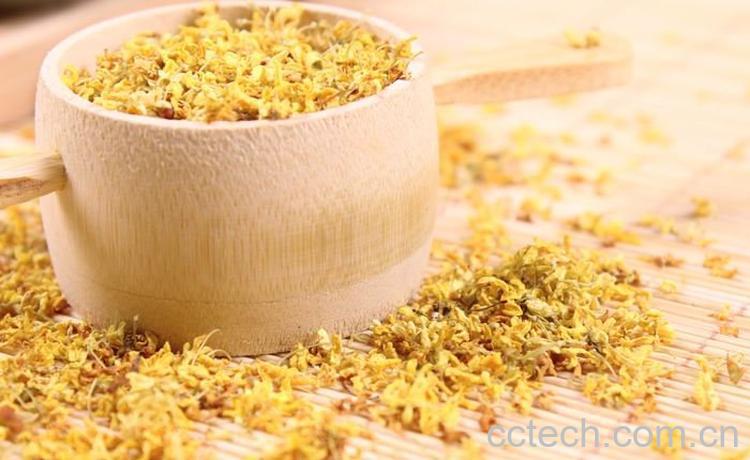 金桂花茶-1