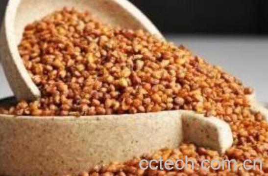 苦荞麦茶的食用方法 苦荞麦茶的正确喝法-0