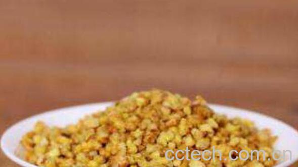 苦荞麦茶的食用方法 苦荞麦茶的正确喝法-1