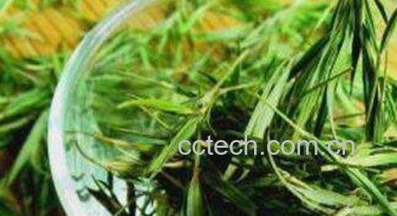 石竹茶的功效与禁忌 石竹茶的副作用-0