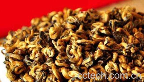 滇红金螺怎么泡 滇红金螺有什么功效-0