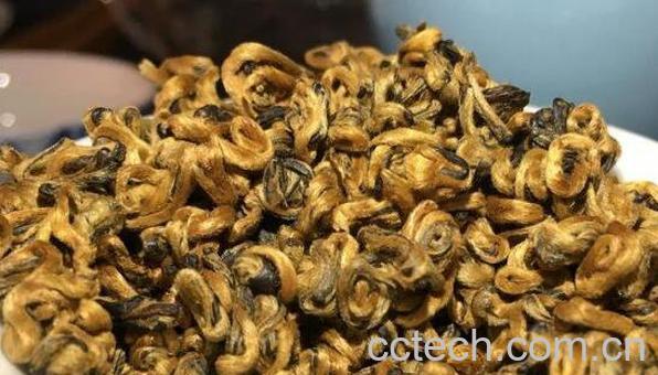 金螺红茶怎么喝 金螺红茶泡法-0