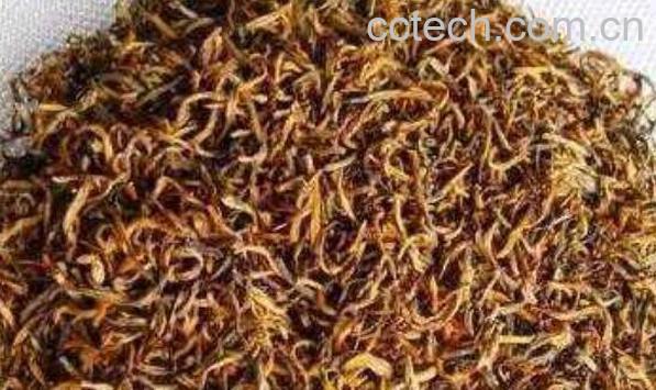 滇红金芽和金丝的区别 滇红金丝的功效-0