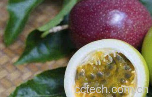 百香果的功效与作用 吃百香果有什么好处-1