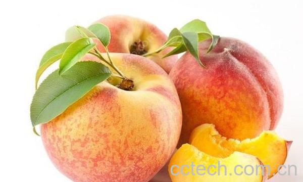 食用桃子的禁忌-1
