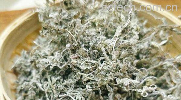 莓茶和溪黄草的区别-1