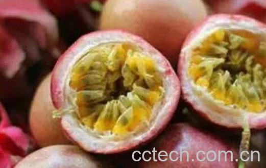 百香果壮阳吗 百香果对男人的好处-1