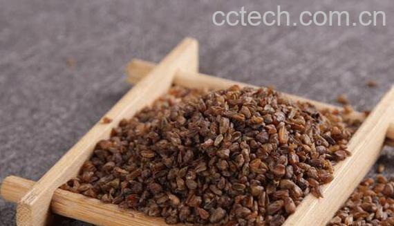 喝苦荞茶有什么好处 苦荞茶的功效与作用-1