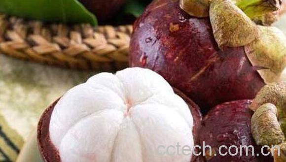 山竹茶的功效与作用 山竹茶的副作用-0