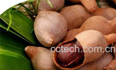 甜角的功效和作用-1