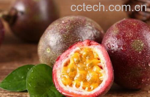 百香果减肥的方法技巧-0