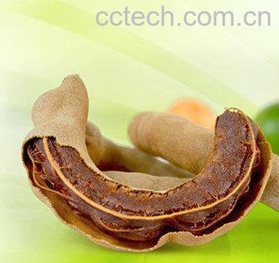 甜角和酸角的区别-0