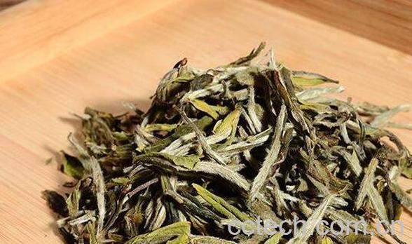 白牡丹怎么泡 白牡丹的正确泡法-1