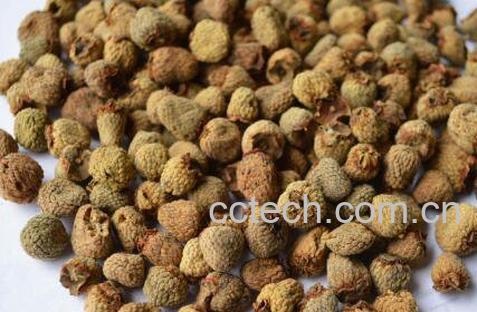 干的覆盆子能泡酒吗 干覆盆子泡酒的方法-0