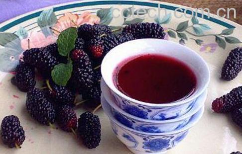 桑葚泡酒的功效与作用及禁忌-1