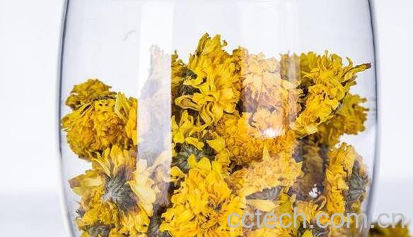 怀菊花的功效与作用 喝怀菊花的禁忌-0