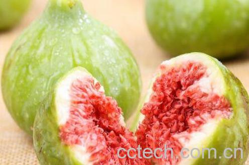 无花果对男人的功效-1