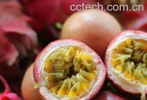 百香果的禁忌有哪些 百香果不能与什么同食-0