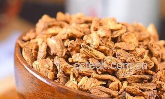 菊苣根茶的功效和作用-0