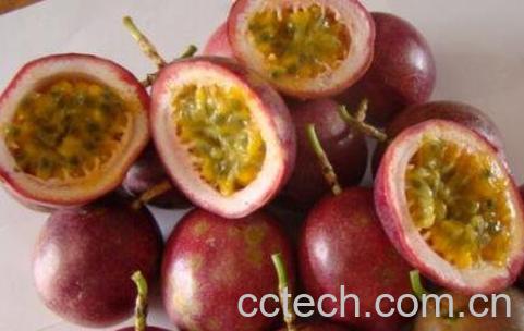 百香果的禁忌有哪些 百香果不能与什么同食-1
