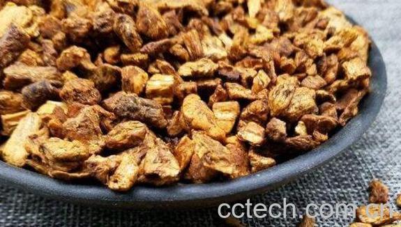 菊苣根茶的功效和作用-1