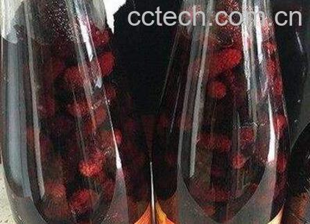 桑葚怎么泡酒 桑葚泡酒的方法教程-0