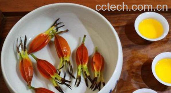 栀子花茶怎么泡 栀子花茶的制作方法-0