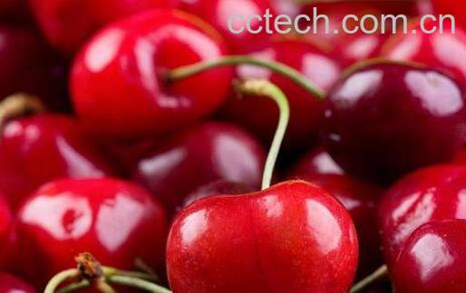 吃樱桃的好处有哪些 吃樱桃的坏处-1