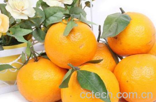 贡柑的功效与作用 贡柑上火吗-0