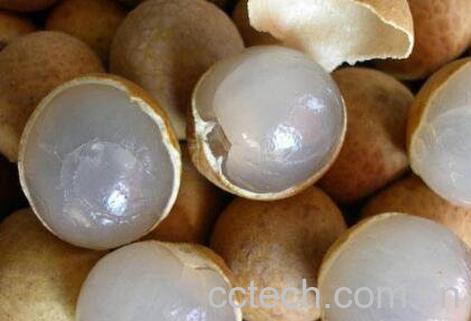 吃桂圆有什么好处和坏处-1