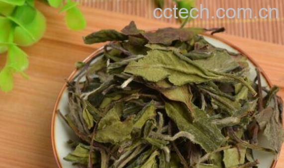 寿眉白茶怎么泡 寿眉白茶怎么泡的冲泡方法-1