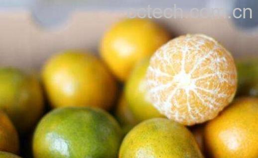 德庆贡柑上火吗 德庆贡柑的功效与作用-1