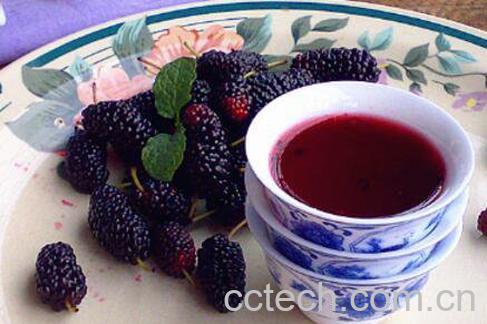 桑葚泡酒的功效与作用 桑葚泡酒的做法-1