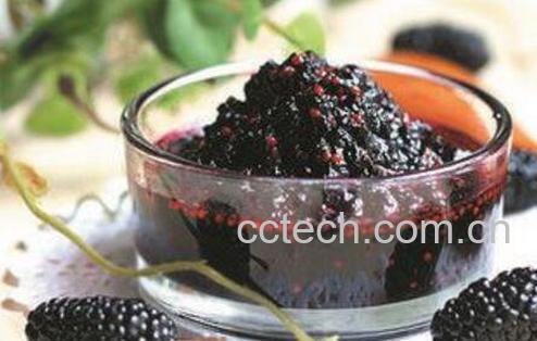 桑葚泡酒的功效与作用 桑葚泡酒的做法-0