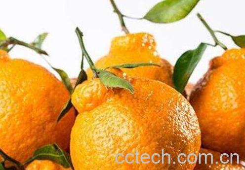 丑八怪水果的功效和作用 丑八怪的营养价值-1