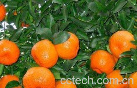 崭坛粤松匣鹇 崭痰墓πв胱饔-0