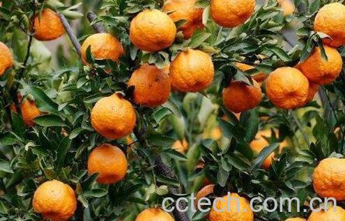 崭坛粤松匣鹇 崭痰墓πв胱饔-1