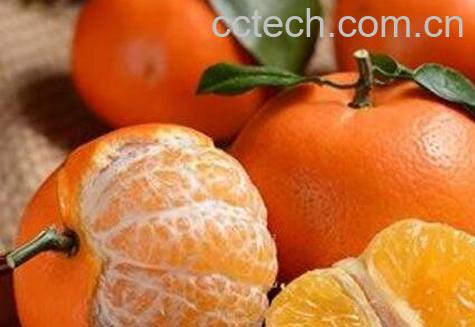 沃柑和皇帝柑的区别 皇帝柑好还是沃柑好吃-0