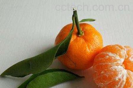 芦柑和橘子的区别 芦柑的功效与作用-0