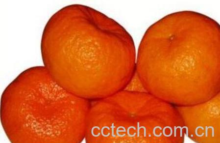 芦柑和橘子的区别 芦柑的功效与作用-1