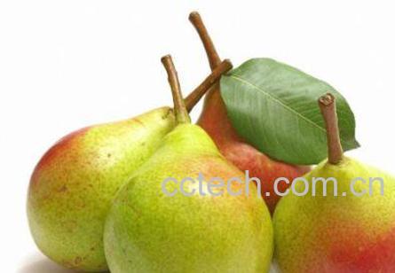 香梨的功效与作用 吃香梨的好处-1