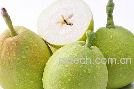 香梨的功效与作用 吃香梨的好处-0
