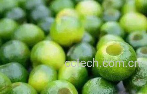 小青柑的功效与作用 小青柑怎么泡-0