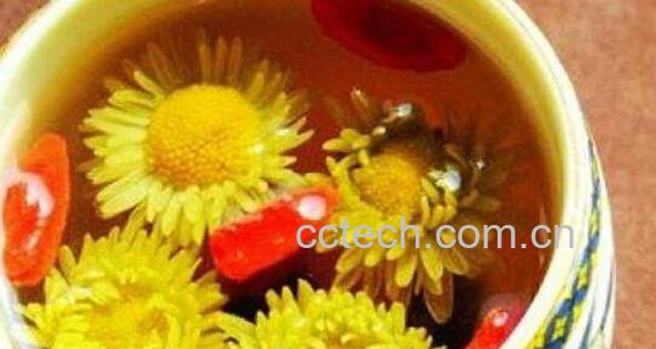 枸杞菊花泡水喝的正确方法-0