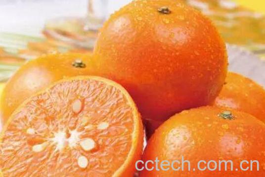 茂谷柑的功效与作用及禁忌-1