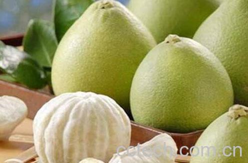 糖尿病能吃什么水果 适合糖尿病人吃的10种水果-0